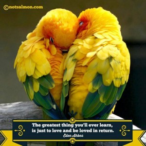 1. Love is all you need